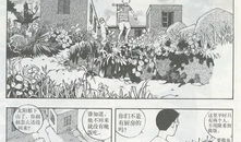 溜冰滚族,溜冰滚族的时尚风采